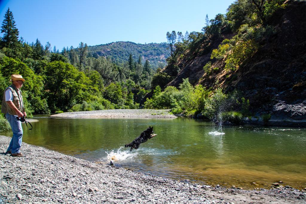 Russian River Camping Resort Cottage 7 كلوفيردالي المظهر الخارجي الصورة